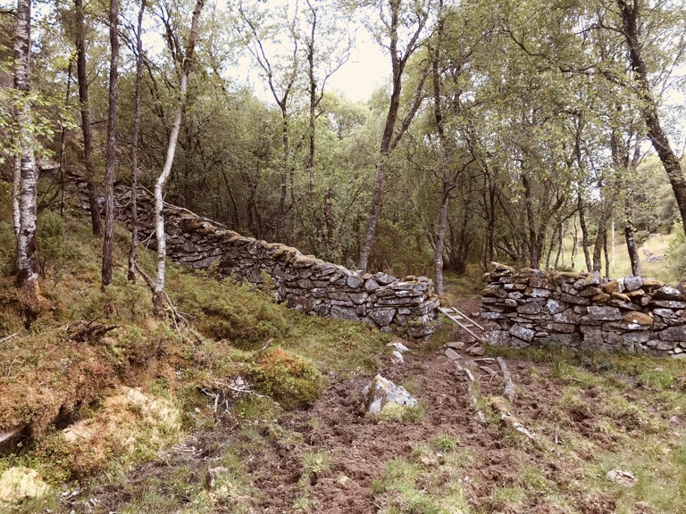 Steingjerde Fitjar