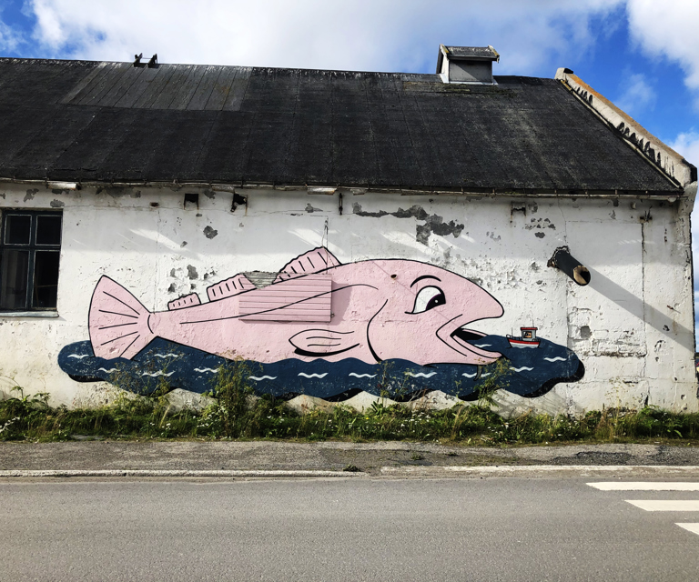Vardo Fisk
