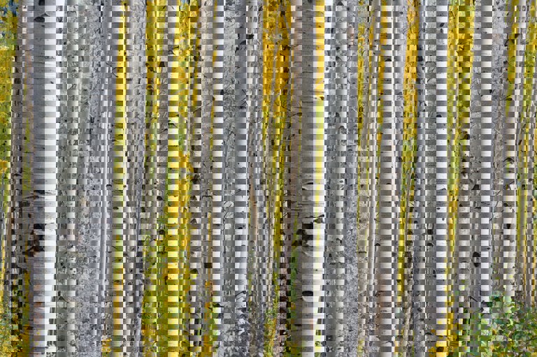 Photo By John Price On Unsplash