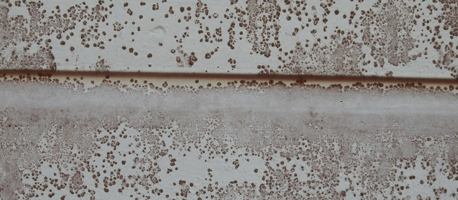 Svertesopp