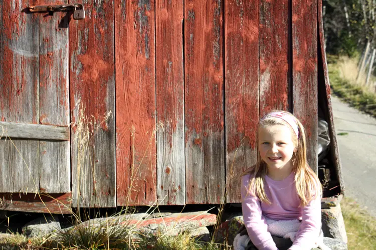Vaerslitt-yttervegg-paa-et-uthus-som-har-vaert-malt-med-komposisjonsmaling.-Foto:-Bygg-og-Bevar