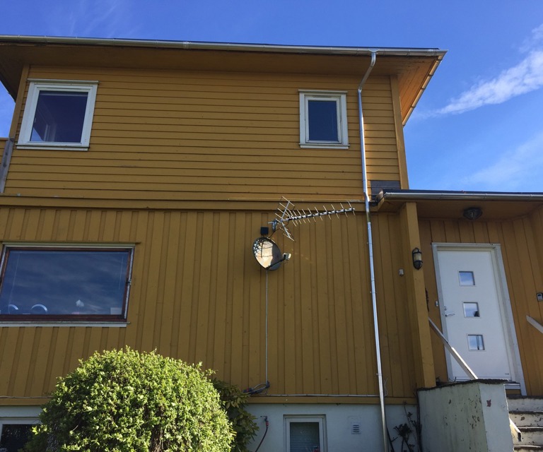 IMG 3100 (1)