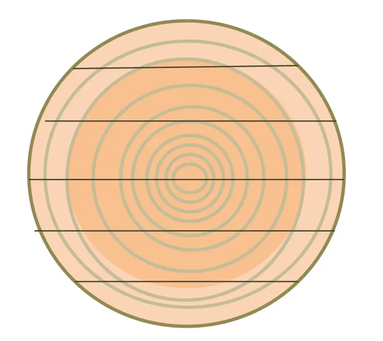 Oppgangssagen ga flere bord av stokken, bakhunen ("skalkene") ble brukt til golv og taktro.