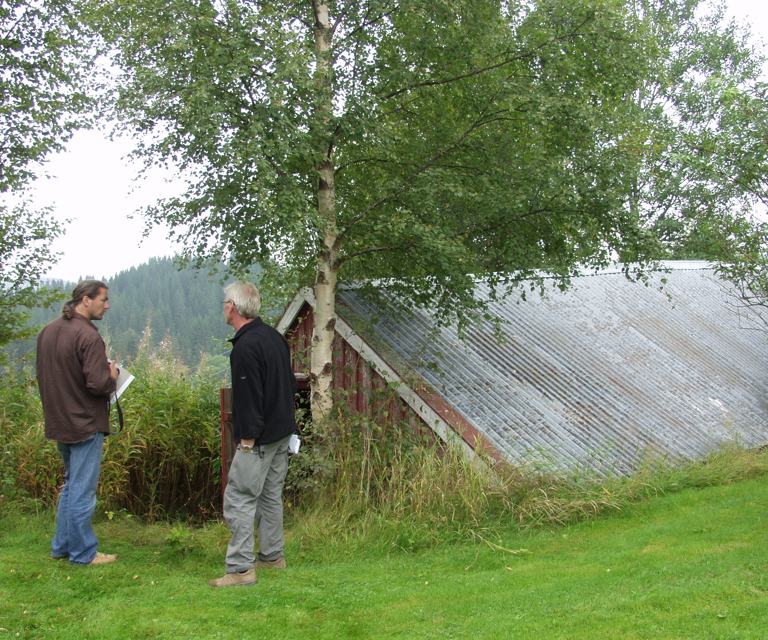 Jordkjeller bygd inn i terrenget overdekket med jord og med saltak. Eksempel fra Sør-Trøndelag. Foto: Einar Engen/Domkirkeodden