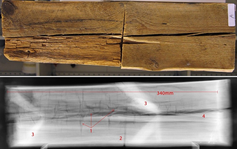  Røntgenbilde av brunråte, identifisert på grunnlag av råteklossenes (de vertikale krakeleringene/sprekkene) innbyrdes avstand. Råteangrepet var ikke synlig på overflaten av materialprøven. Foto: NIKU