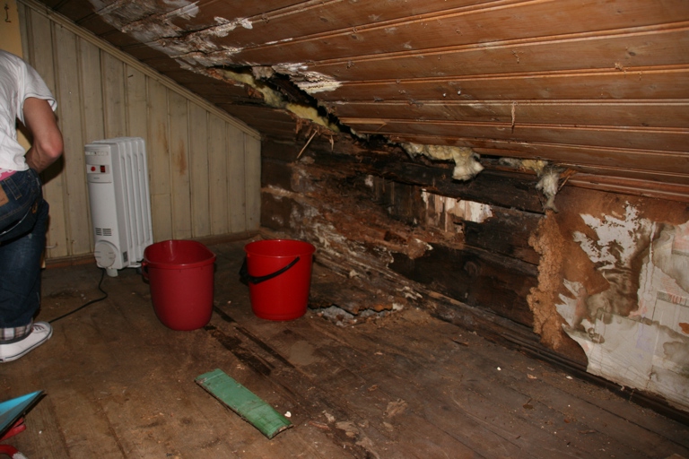 Skade i tak, innertak og laftevegger etter feil utført tekking og isolering, 15 år etter. Foto: Ola H. Fjeldheim