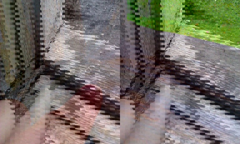 Trekkfulle vinduer Trekkfulle vinduer