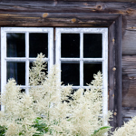 Foto: Liv Sandvik Jakobsen
