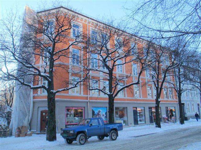 Under avduking ved ferdigstillelse. Foto: A. L. Høyer AS