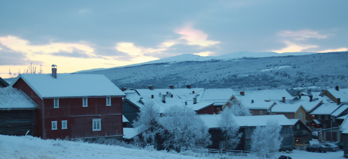 Byantikvaren i Røros - Bygg og Bevar