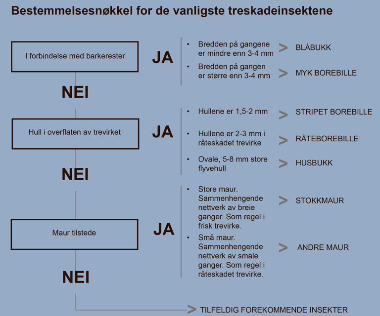 BILLESKJEMA.jpg