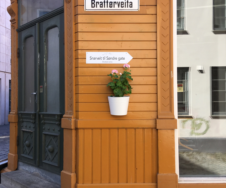 Snarveitskilt blomster juni2018