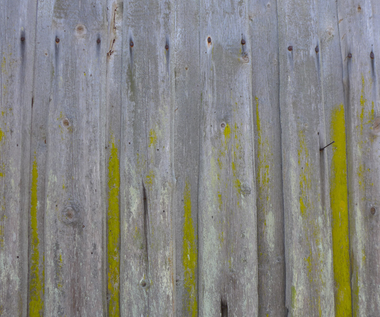 U33_L1200968.jpg