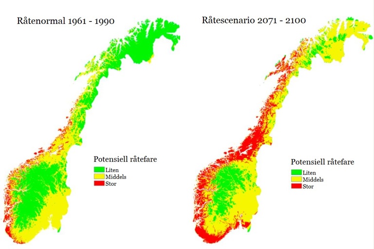 Råteindeks.jpg