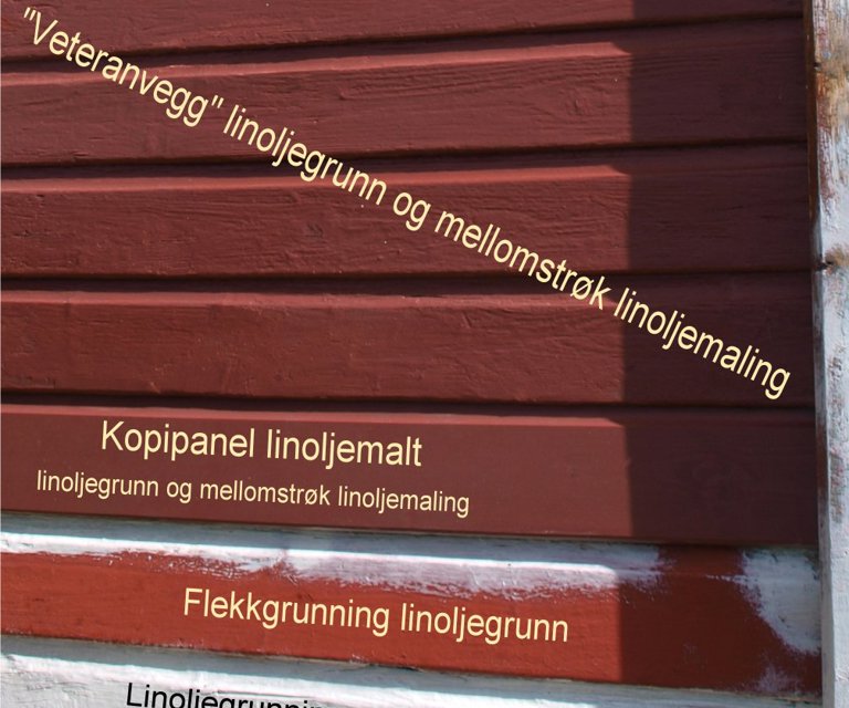 linoljegrunning_linoljemaling_12.jpg