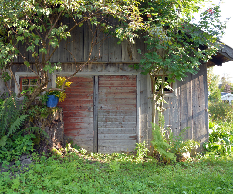 DSC_8272.jpg